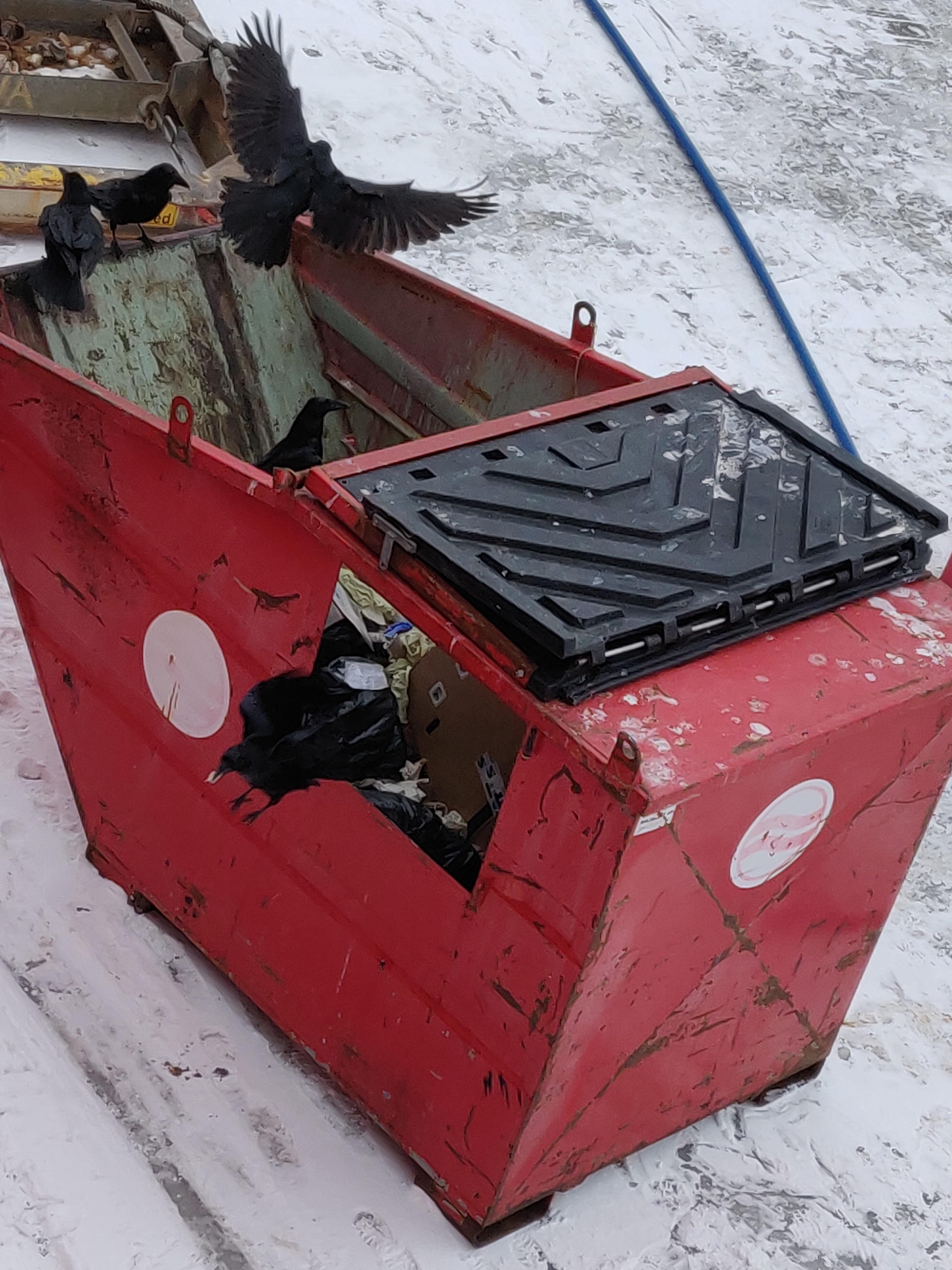 09. Ravne på rov.jpg